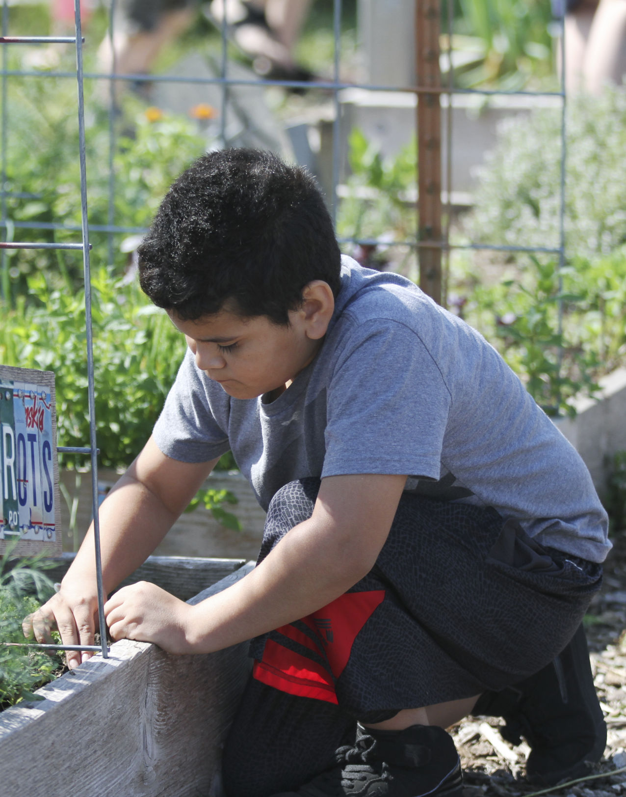 Hastings Public Library Gardeners 2